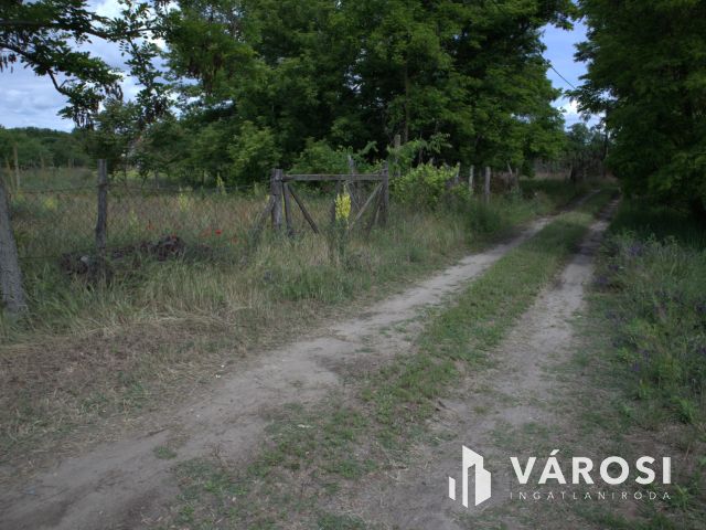 Sándorfalvi zárt kert vagy telek a dóci úton