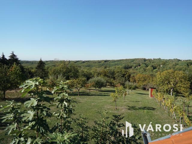 Letenyén a Béci hegyen igényes hétvégi ház